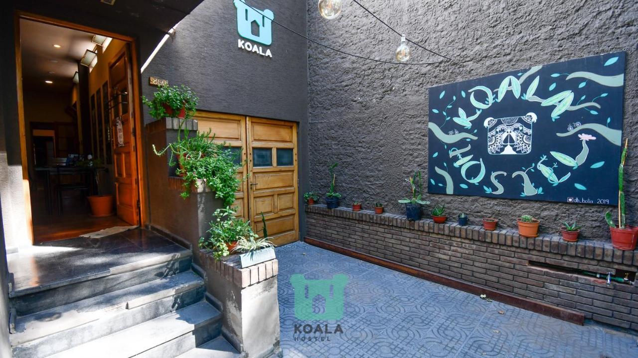 Koala Hostel Мендоса Екстер'єр фото