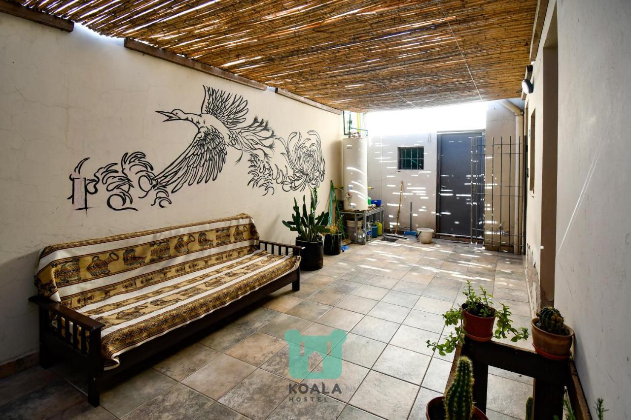 Koala Hostel Мендоса Екстер'єр фото